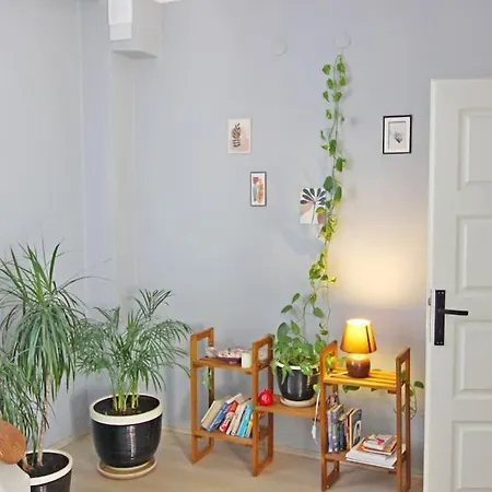 Ozkan - Center Fully Furnished 50mbps Wifi Netflix Διαμέρισμα Φετιγιέ